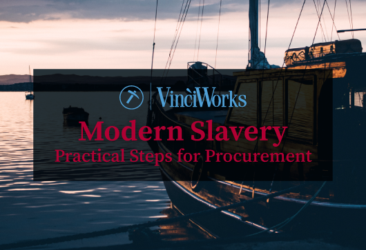 Modern Slavery: Practical Steps for Procurement e-learning course