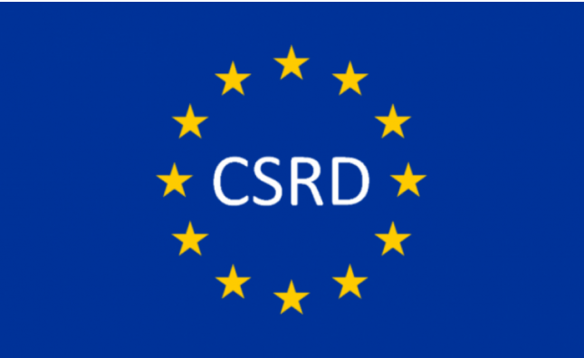 Professional Services and CSRD 