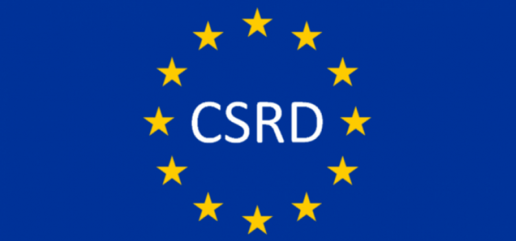 Professional Services and CSRD 